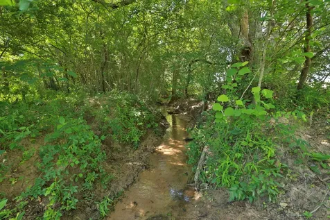 Tract #10 Cr 305 Road Navasota TX 77868