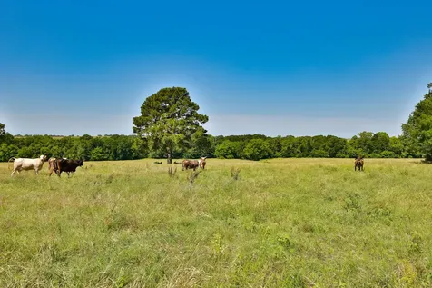 Tract #10 Cr 305 Road Navasota TX 77868