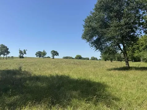 Tract #10 Cr 305 Road Navasota TX 77868