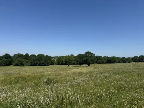 Tract #10 Cr 305 Road Navasota TX 77868