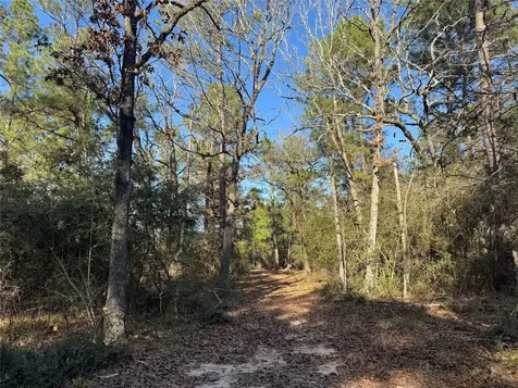 Lots 35 & 36 Brazos Pass Lovelady TX 75851
