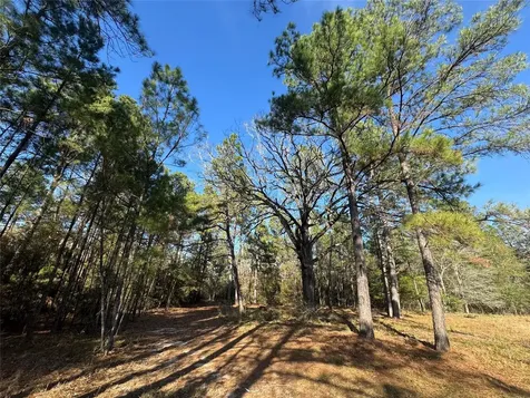 Lots 35 & 36 Brazos Pass Lovelady TX 75851