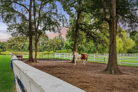 39414 Lago Drive Magnolia TX 77354
