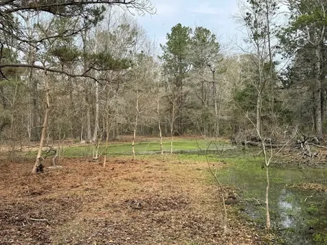 0 Old Hwy 105 E Cleveland TX 77327