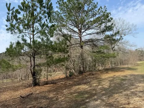 0 Old Hwy 105 E Cleveland TX 77327