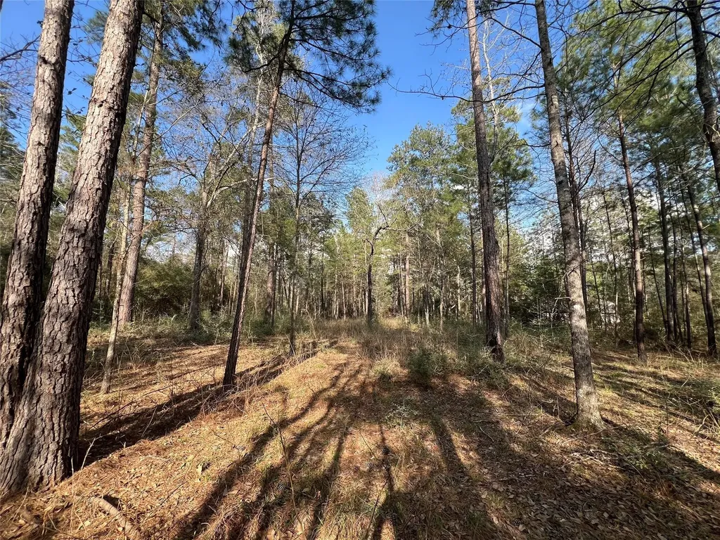 3-17-3B Winchester Road Huntsville TX 77340