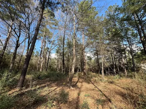 3-17-3B Winchester Road Huntsville TX 77340