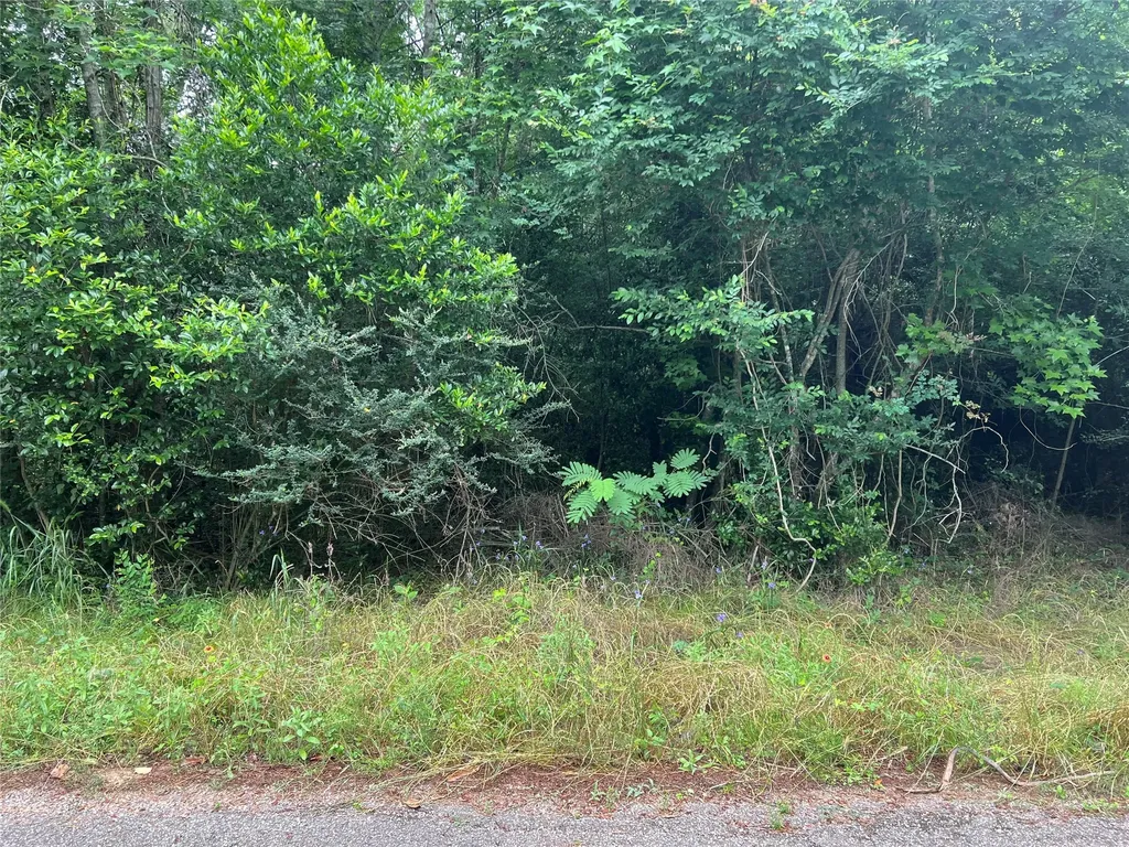 0 Rollingwood Loop Conroe TX 77303