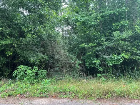 0 Rollingwood Loop Conroe TX 77303