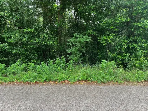 0 Rollingwood Loop Conroe TX 77303