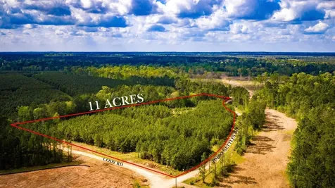 0 Jimbo Nettles Road Livingston TX 77351