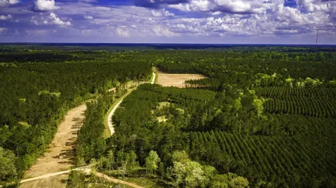0 Jimbo Nettles Road Livingston TX 77351