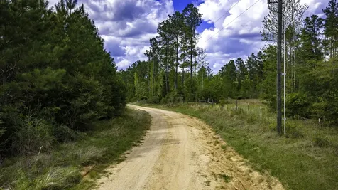 0 Jimbo Nettles Road Livingston TX 77351