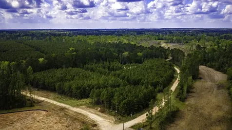 0 Jimbo Nettles Road Livingston TX 77351
