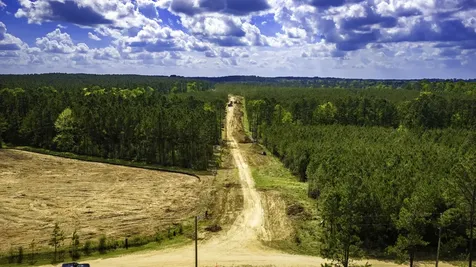 0 Jimbo Nettles Road Livingston TX 77351