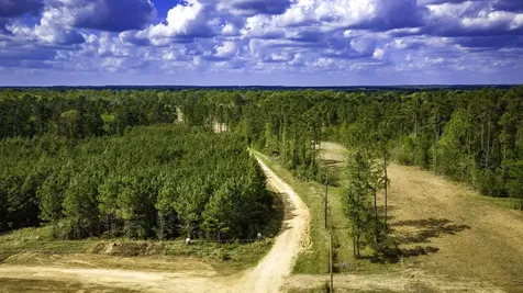 0 Jimbo Nettles Road Livingston TX 77351