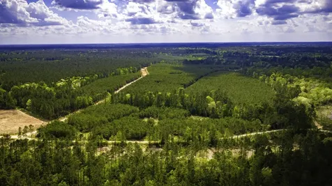 0 Jimbo Nettles Road Livingston TX 77351
