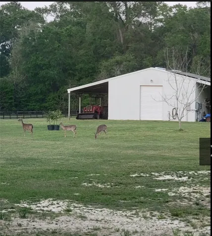 110 Dogwood Lane Lumberton TX 77657