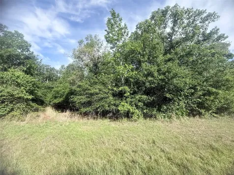 21203 Grant Lake Circle Cleveland TX 77328
