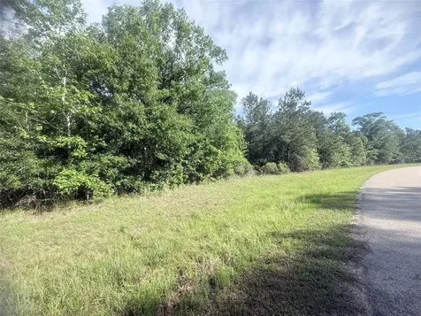 21203 Grant Lake Circle Cleveland TX 77328