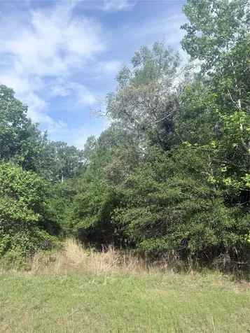 21203 Grant Lake Circle Cleveland TX 77328
