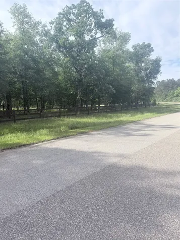 21203 Grant Lake Circle Cleveland TX 77328
