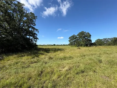 14393 County Road 228 Bedias TX 77831