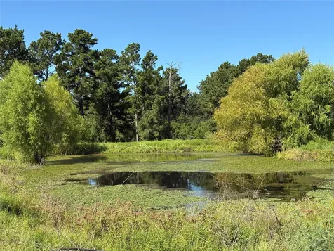 14393 County Road 228 Bedias TX 77831