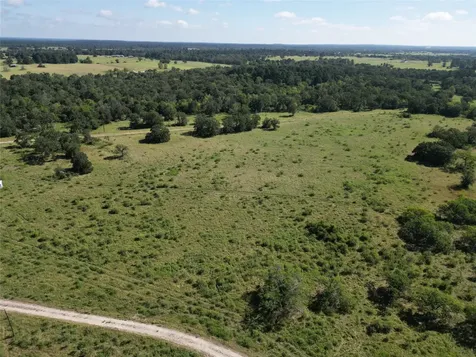 14393 County Road 228 Bedias TX 77831
