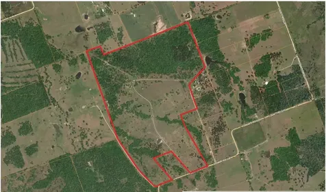 14393 County Road 228 Bedias TX 77831