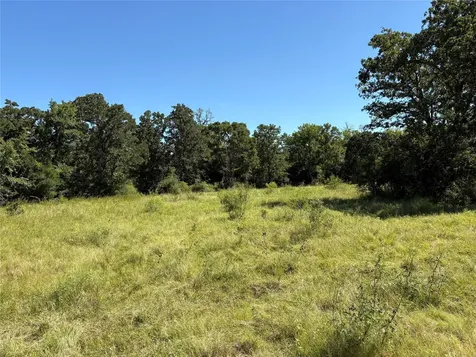 14393 County Road 228 Bedias TX 77831