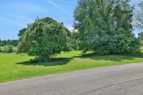 0 Rocky Creek Drive Coldspring TX 77331