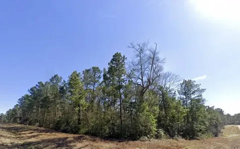 172 Rock Ranch Road New Waverly TX 77358