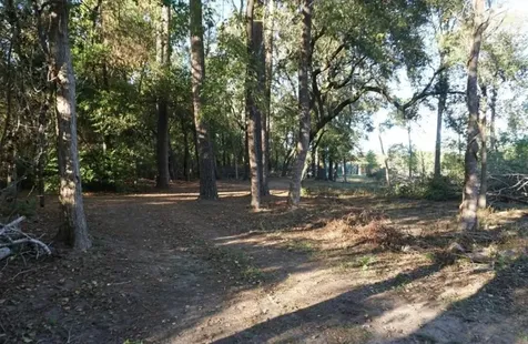 424 S Avenue D Humble TX 77338