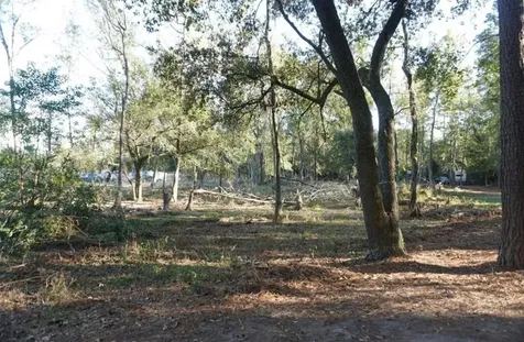 424 S Avenue D Humble TX 77338