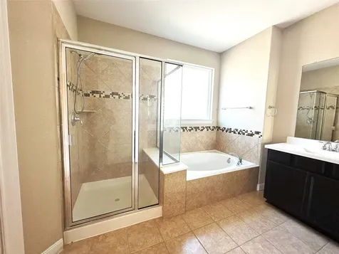 22523 Birch Ridge Meadow Drive Spring TX 77389