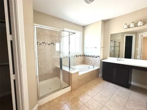 22523 Birch Ridge Meadow Drive Spring TX 77389