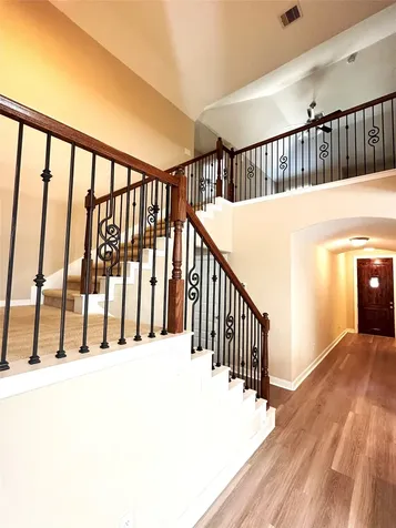 22523 Birch Ridge Meadow Drive Spring TX 77389