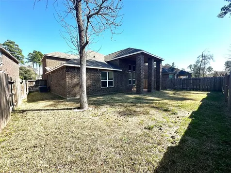 22523 Birch Ridge Meadow Drive Spring TX 77389