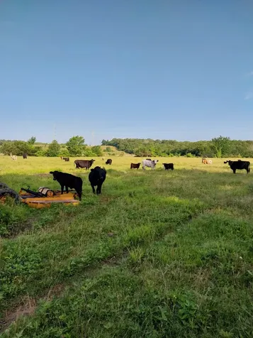 Tbd Fm 857 Road Grand Saline TX 75140