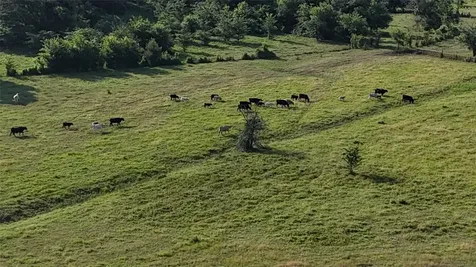 Tbd Fm 857 Road Grand Saline TX 75140
