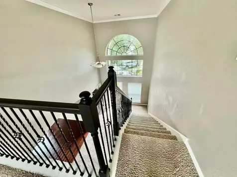 12106 Coldwater Cove Lane Cypress TX 77433