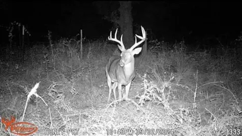 Tbd Pr 1350 Centerville TX 75833