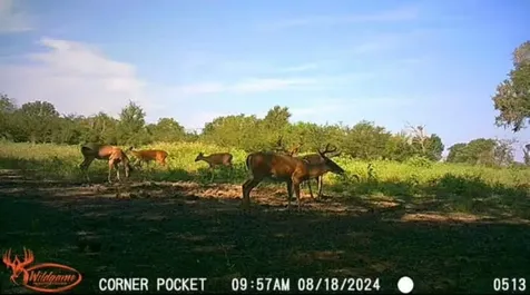 Tbd Pr 1350 Centerville TX 75833