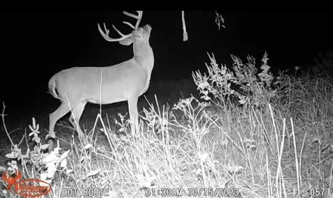 Tbd Pr 1350 Centerville TX 75833
