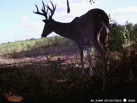 Tbd Pr 1350 Centerville TX 75833