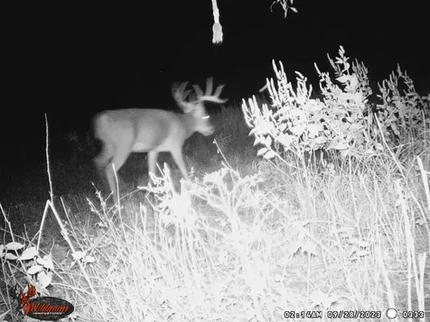 Tbd Pr 1350 Centerville TX 75833