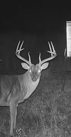 Tbd Pr 1350 Centerville TX 75833
