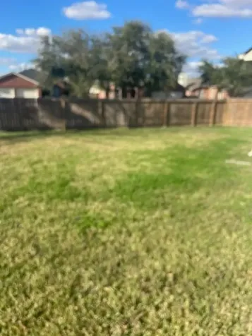 2219 Beacon Light Lane Fresno TX 77545