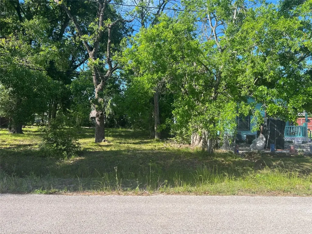 1038 Randolph Street Houston TX 77088